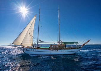Gulet Alisa | Sailing boats