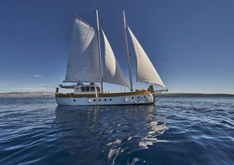 Gulet Ardura | Boat charter